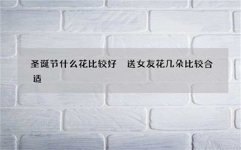 圣诞节什么花比较好 送女友花几朵比较合适